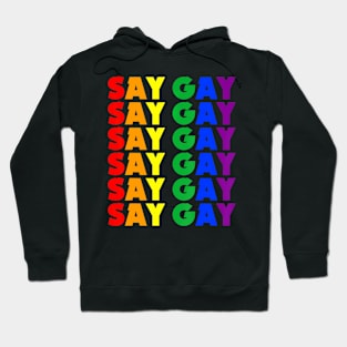 We Say Gay Pride Lgbt Florida Proud Hoodie